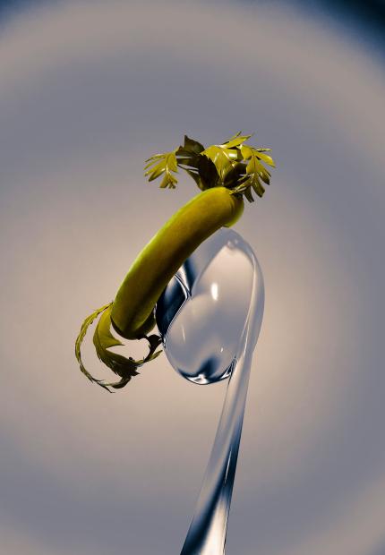 Stephen Jones Millinery Autumn Winter 2023 Why? Why Not? collection Hats